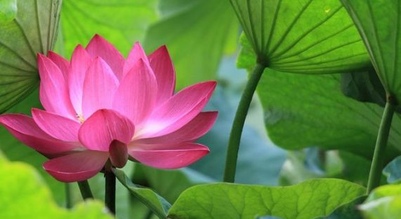 6-dieu-trong-cuoc-song-640x425