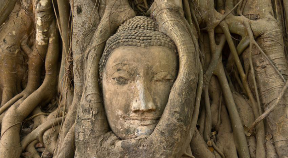 untitled-1-recovered