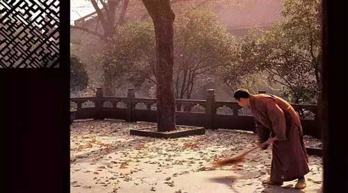 Cảm giác vướng phải thị phi như lá rụng trước thềm