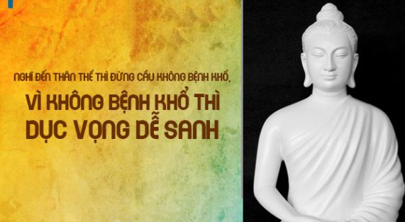 loi-phat-day-chaymoc