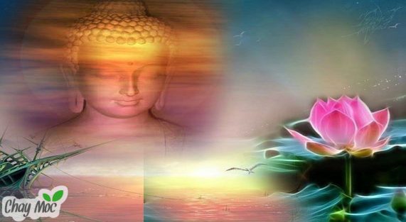 Nhân duyên còn được ở bên nhau thì hãy thực lòng trân quý