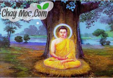 phat-thich-ca-mau-ni-03