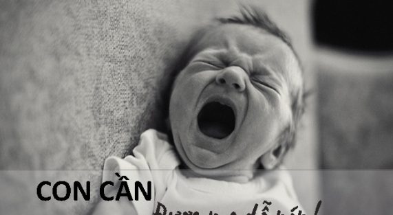 2922_ren_con_tu_ngu_2