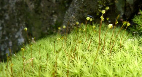 8531233499_a210a082b1_k