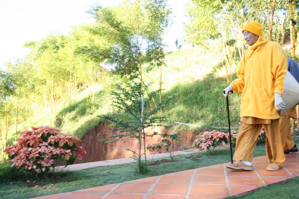 Hòa Thượng: Thích Thanh Từ Có tĩnh lặng cái chân thật mới hiện về