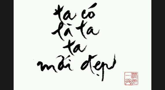 ta-co-la-ta-ta-moi-dep