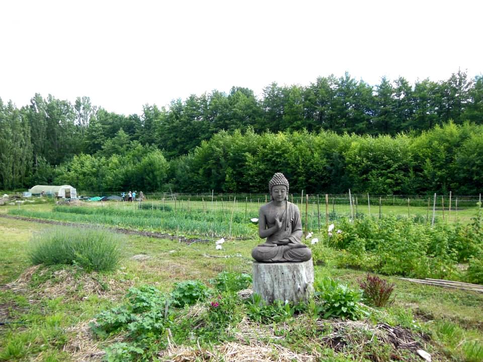 kho-dau-va-hanh-phuc