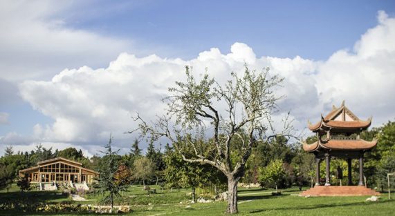 quán-chiếu-sống-chết