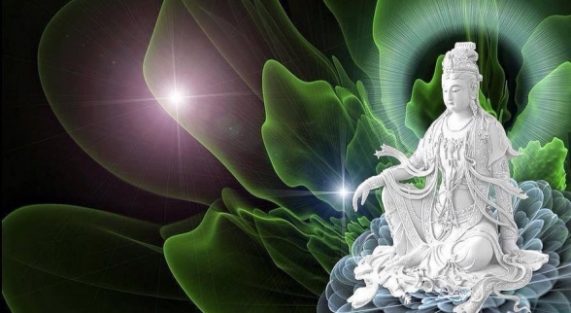 su-tich-quan-the-am-bo-tat-chaymoc