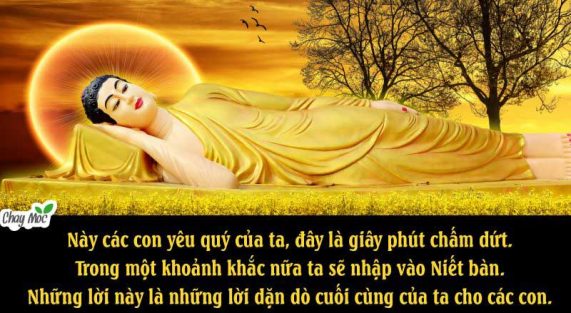 duc-phat-buddha-chaymoc-1