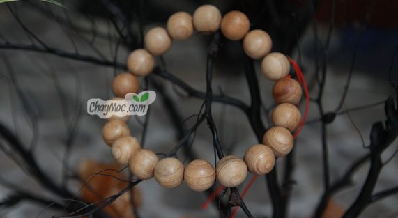 vong-hat-trang-hat-chaymoc-1