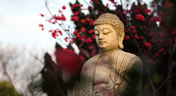 duc phat dao phat chayoc