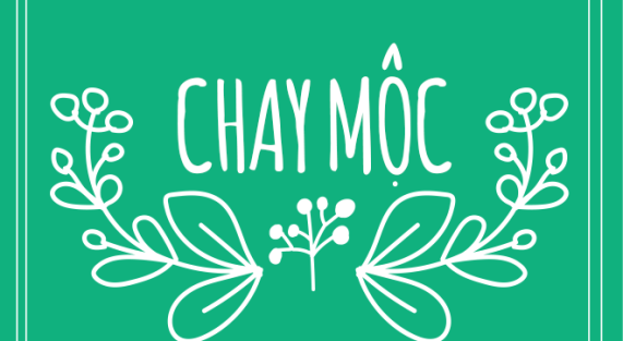 logo chay moc
