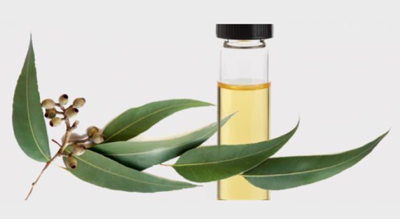 phong-chong-viem-hong-cho-nguoi-gia-bang-tinh-dau-khuynh-diep