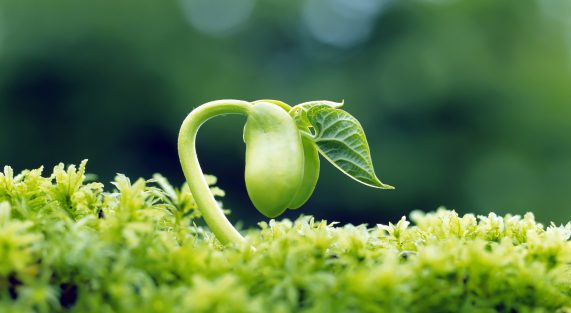 Tâm là đất gieo hạt