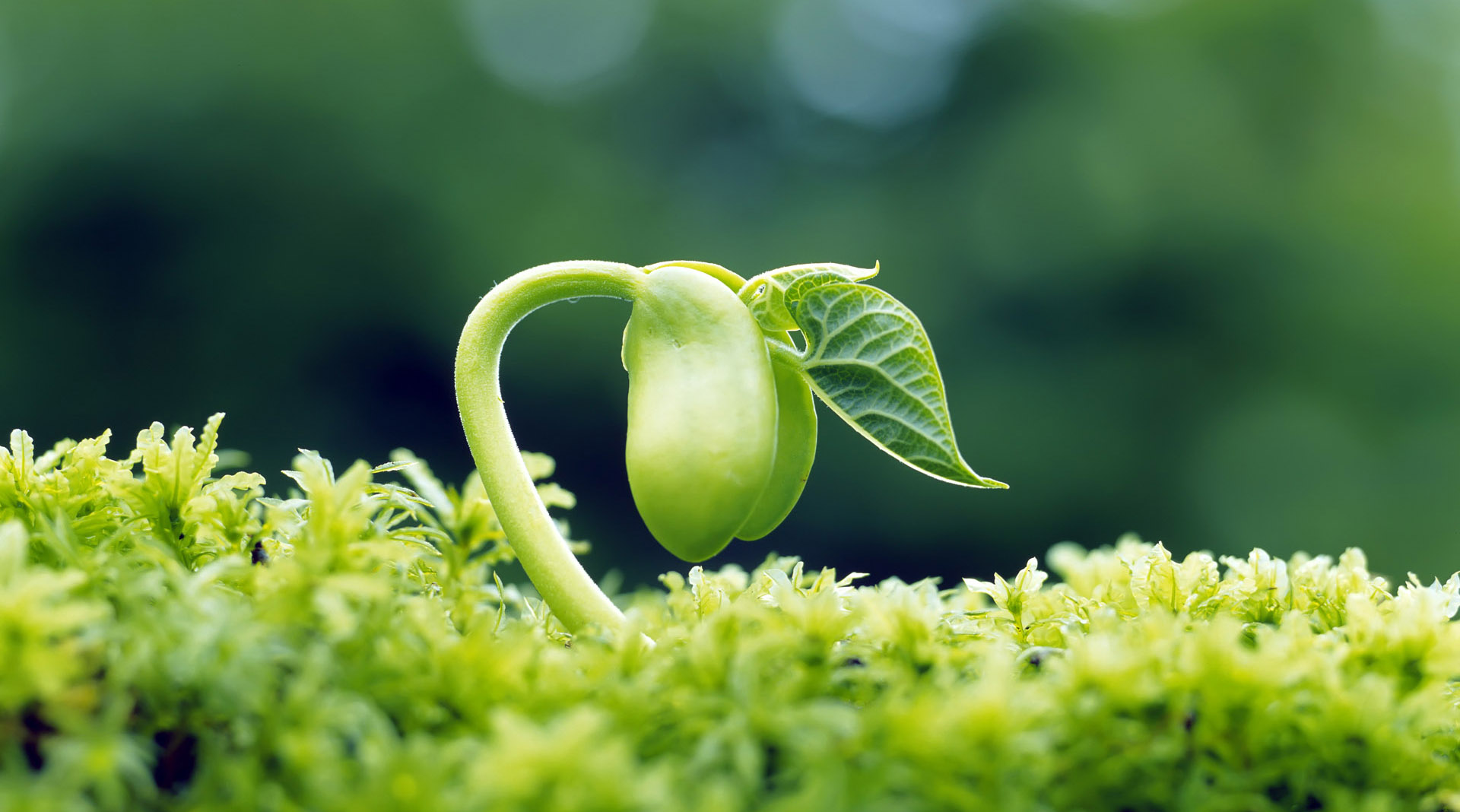 Tâm là đất gieo hạt