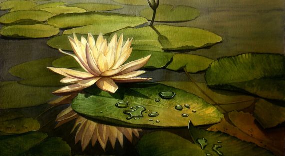 Tự minh đứng dậy