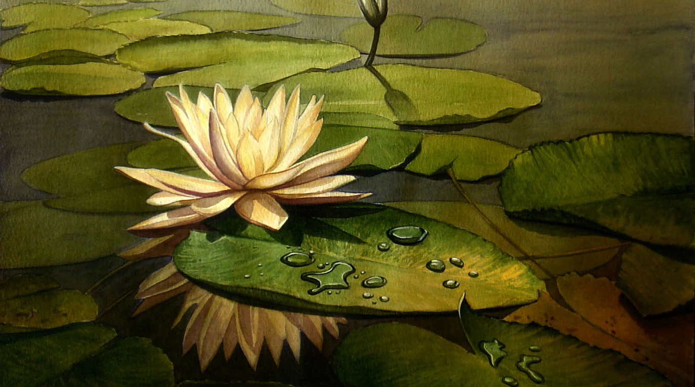 Tự minh đứng dậy