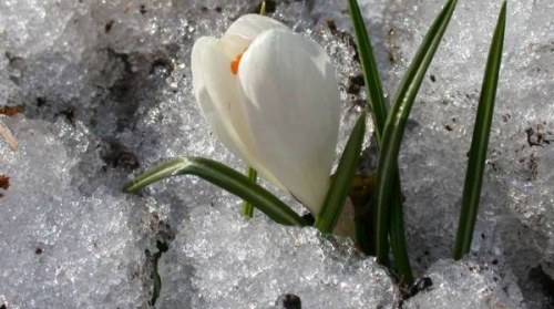 Tri ân những tháng ngày cay đắng