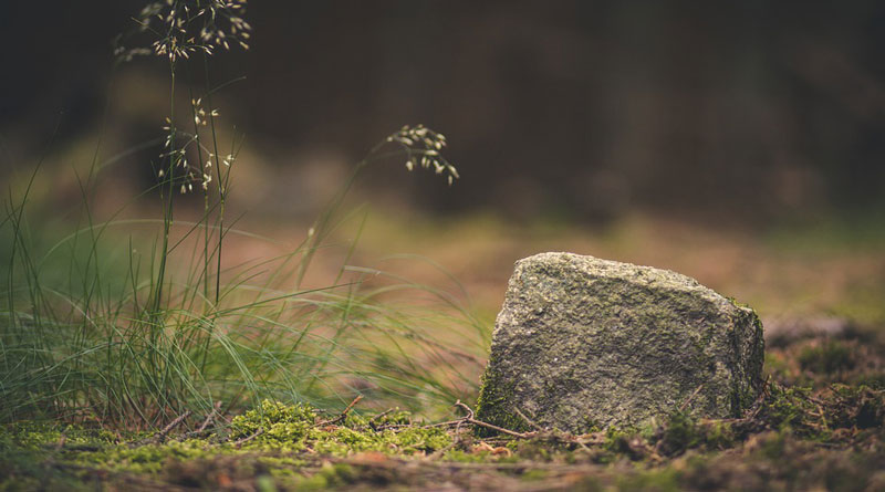 Quá khứ nặng nề