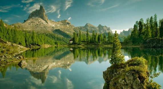 yêu thương chân thành