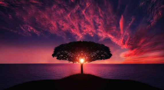 Bản tính thuần chân