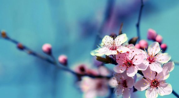 Dù bạn ưu tú thế nào...