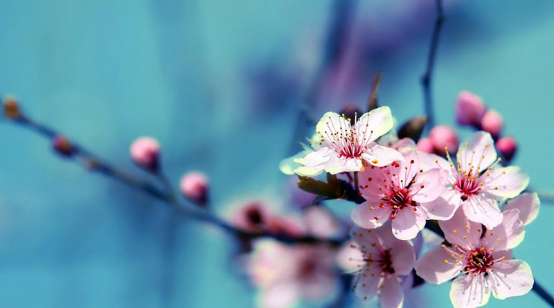 Dù bạn ưu tú thế nào...