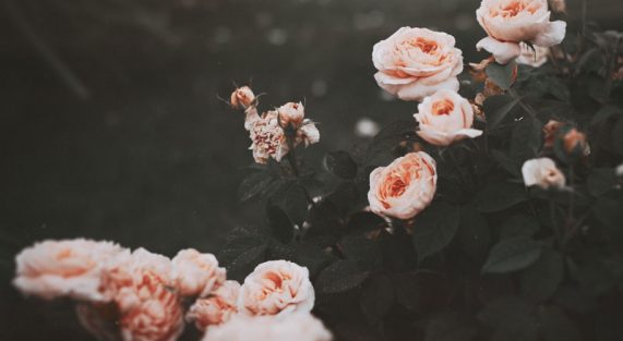 Nếu một ngày, những khó khăn dồn dập đi về