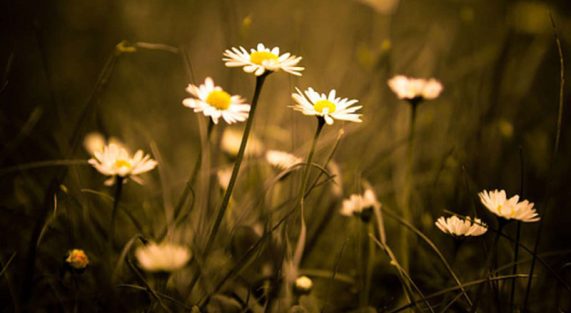 Tu trong hoàn cảnh