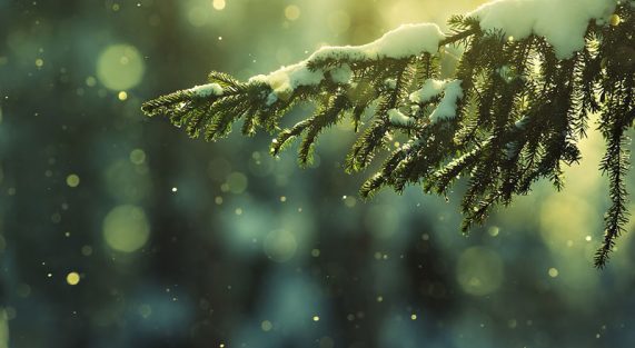 Thực tại luôn hoàn hảo