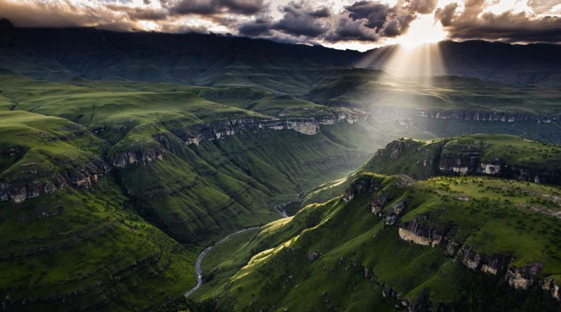 Con người có quyền lựa chọn chay mộc