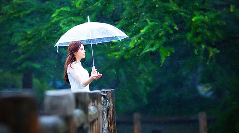 Điềm lành tối thượng chay mộc