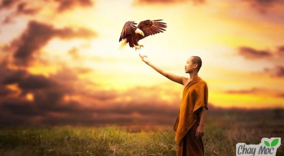 Cảm nhận thế giới về thế giới bên ngoài luôn đến từ trong tâm mỗi người.