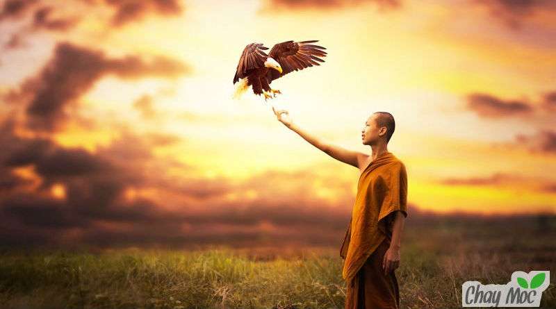 Cảm nhận thế giới về thế giới bên ngoài luôn đến từ trong tâm mỗi người.