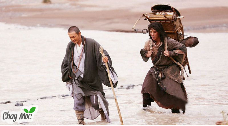 Đừng hạ thấp bản thân, cũng đừng đề cao mình quá.