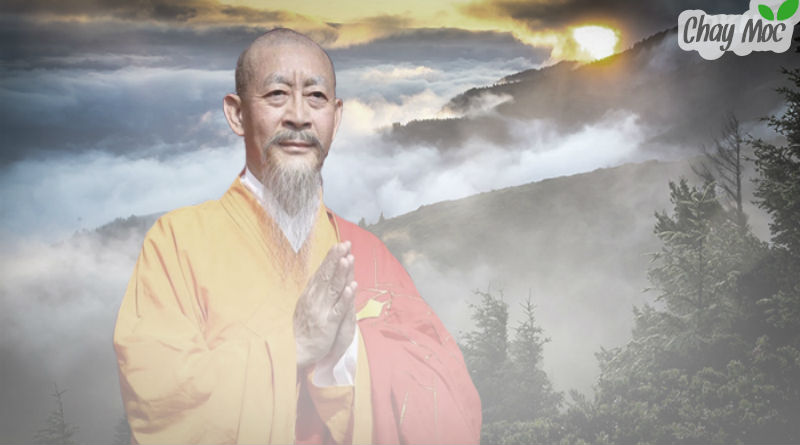 Lão thiền sư với ánh mắt trầm tư, đôn hâụ và đượm màu thông cảm với hoàn cảnh của người hành khất