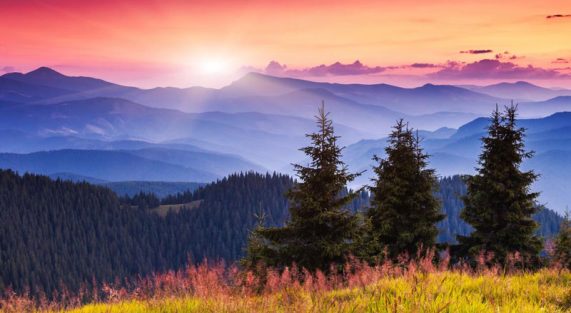 Bình minh Chay Mộc