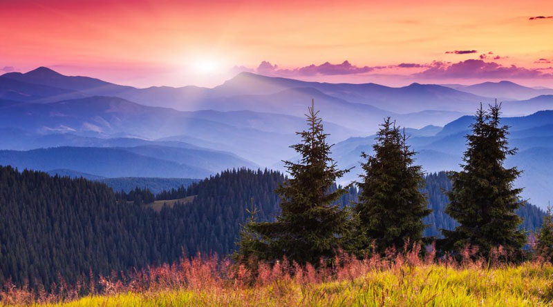 Bình minh Chay Mộc