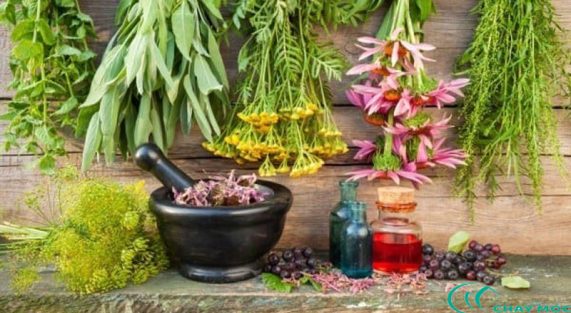 Con người và lối sống thuận tự nhiên