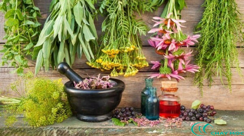 Con người và lối sống thuận tự nhiên