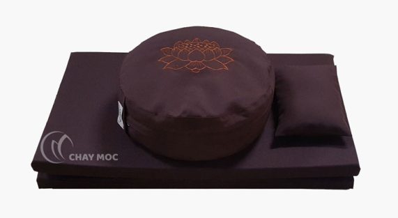 bo-doan-tru-tron-toa-cu-gap-goi-ke-tay-nau-theu-sen-cam-1