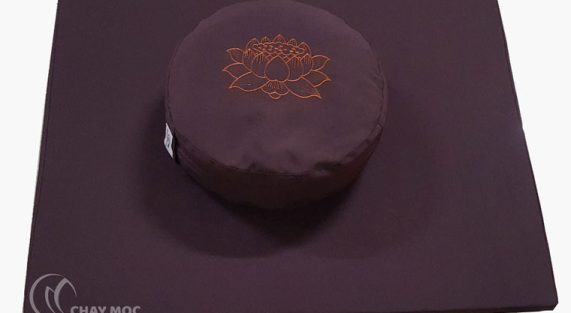 bo-doan-tru-tron-toa-cu-gap-nau-theu-sen-cam