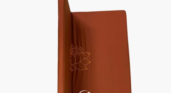 toa-cu-gap-theu-sen-kaki-cam-3